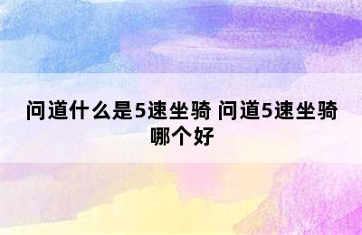 问道什么是5速坐骑 问道5速坐骑哪个好